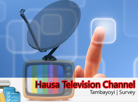 wiki:hausa_television_channel.jpg